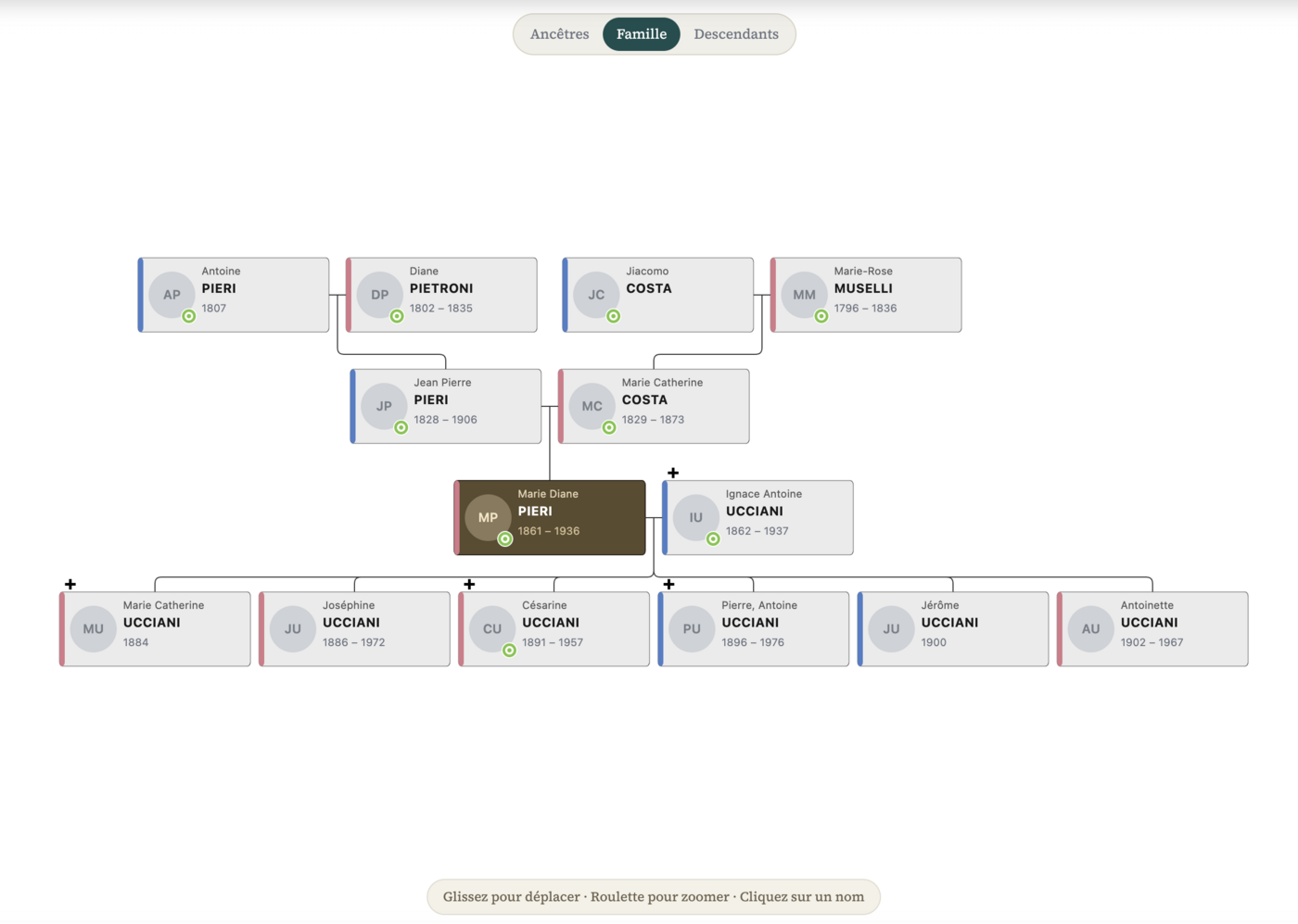 GeneaMin — Vue arbre interactive